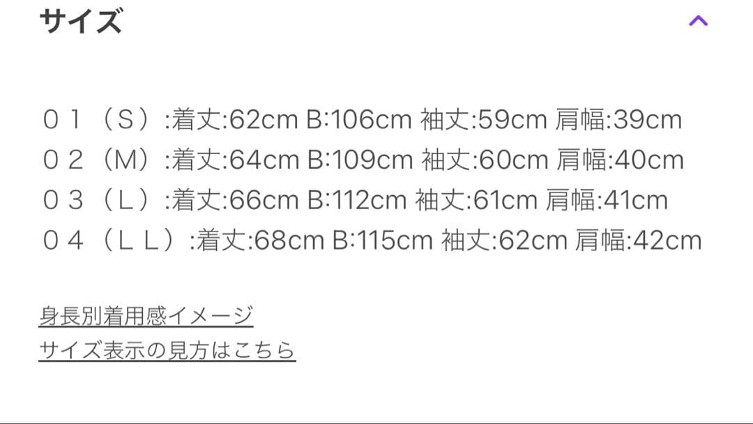 新品タグ付き　【撥水洗える】ショートフーディーダウン LLサイズ
