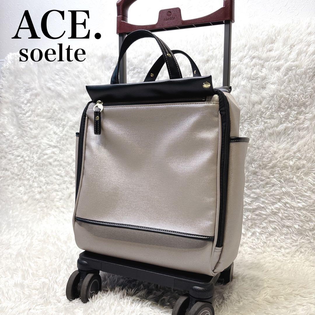 ソエルテ キャリーバッグ ソフト カランド 12L S 55794 ベージュ