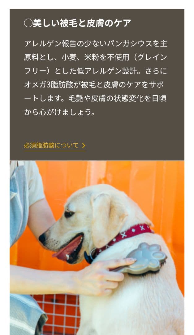 ボディバランス エイジングサポート ドッグフード【10kg／新品未開封】