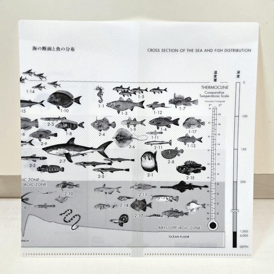 サカナクション ベストアルバム 魚大図鑑 完全生産限定プレミアムBOX