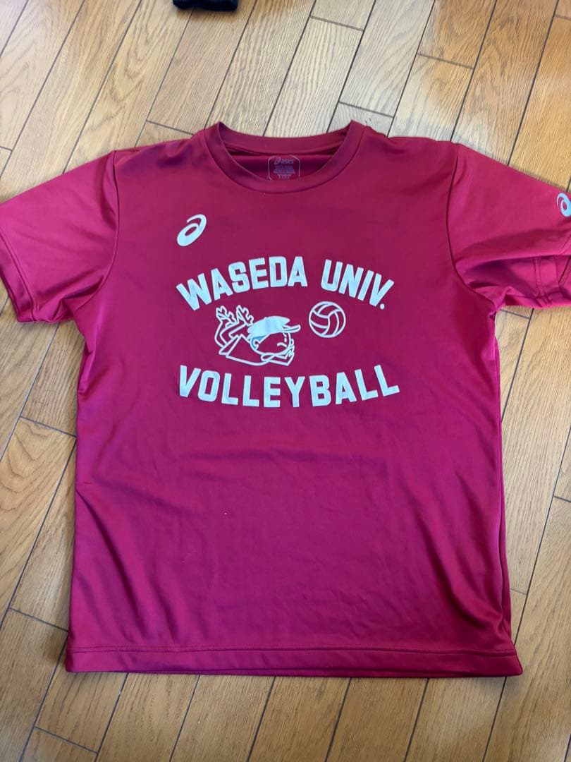 早稲田大学 バレーボールTシャツ
