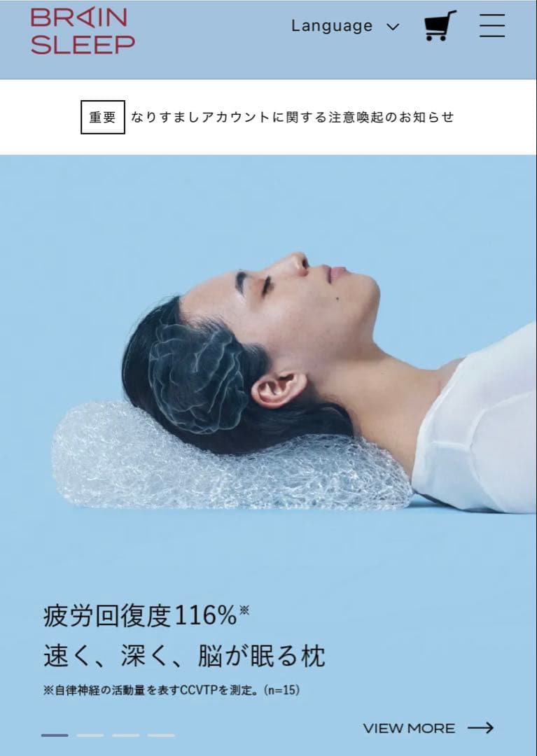 【⭐︎美品⭐︎】〈カバー付〉ブレインスリープ ピロー スタンダート