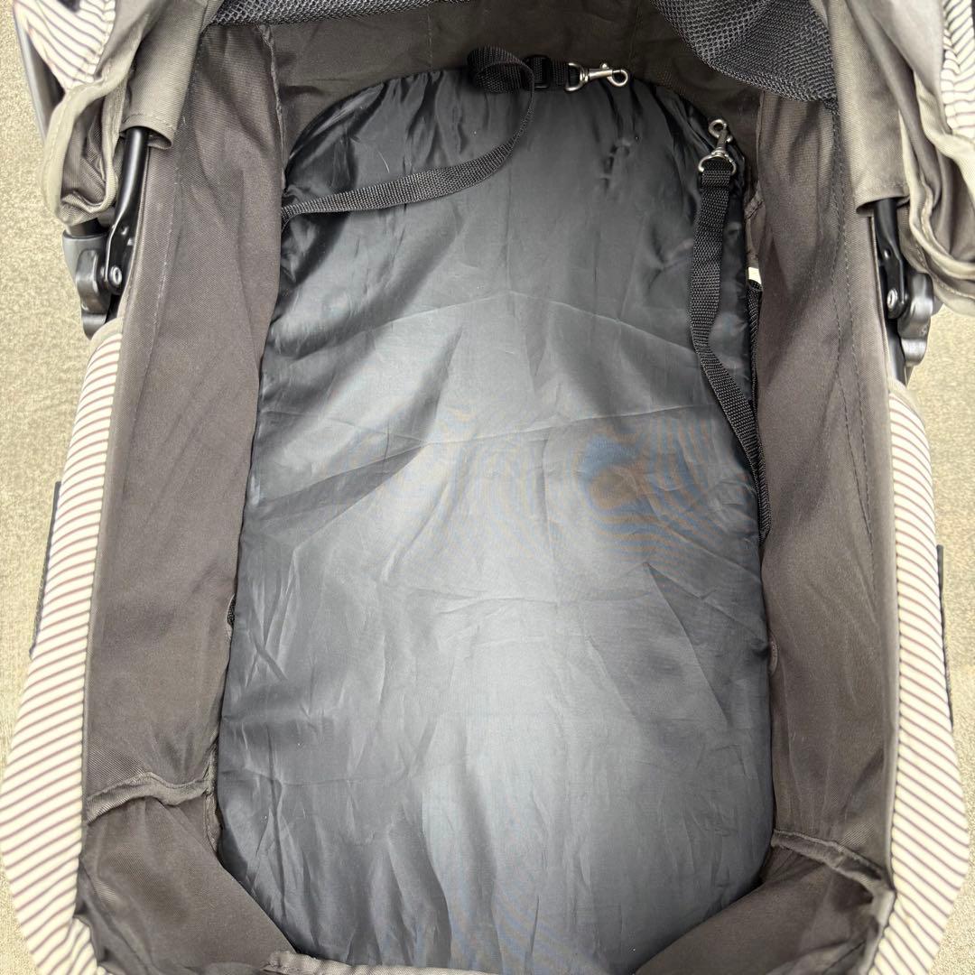 わんわんカート 多頭用DXplus-N ストライプグリーン