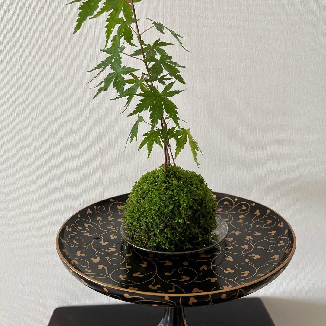 黒塗　唐草蒔絵　高杯　高月　一対