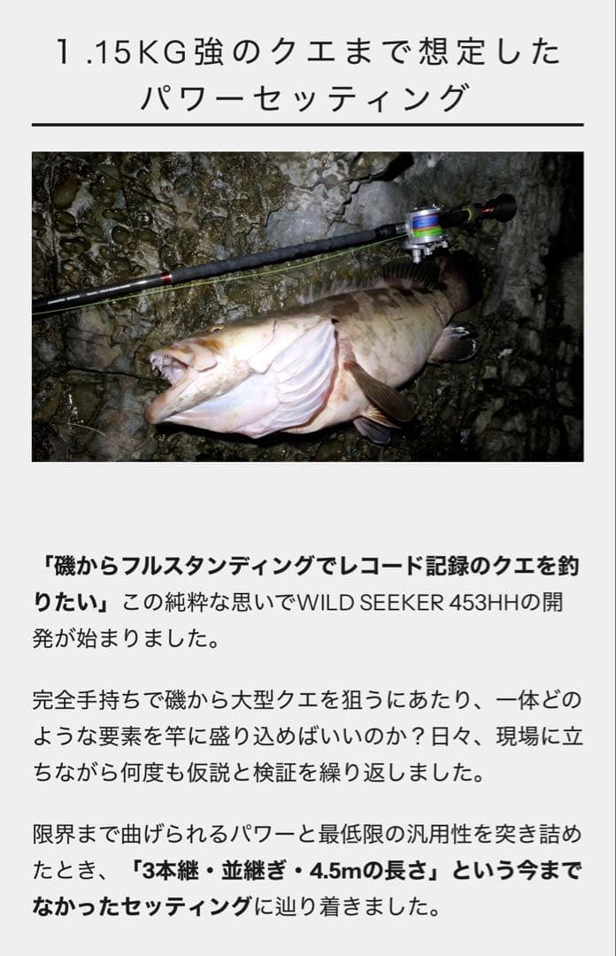 クエ竿、石鯛竿、タマン、カンパチ、クエ、石鯛