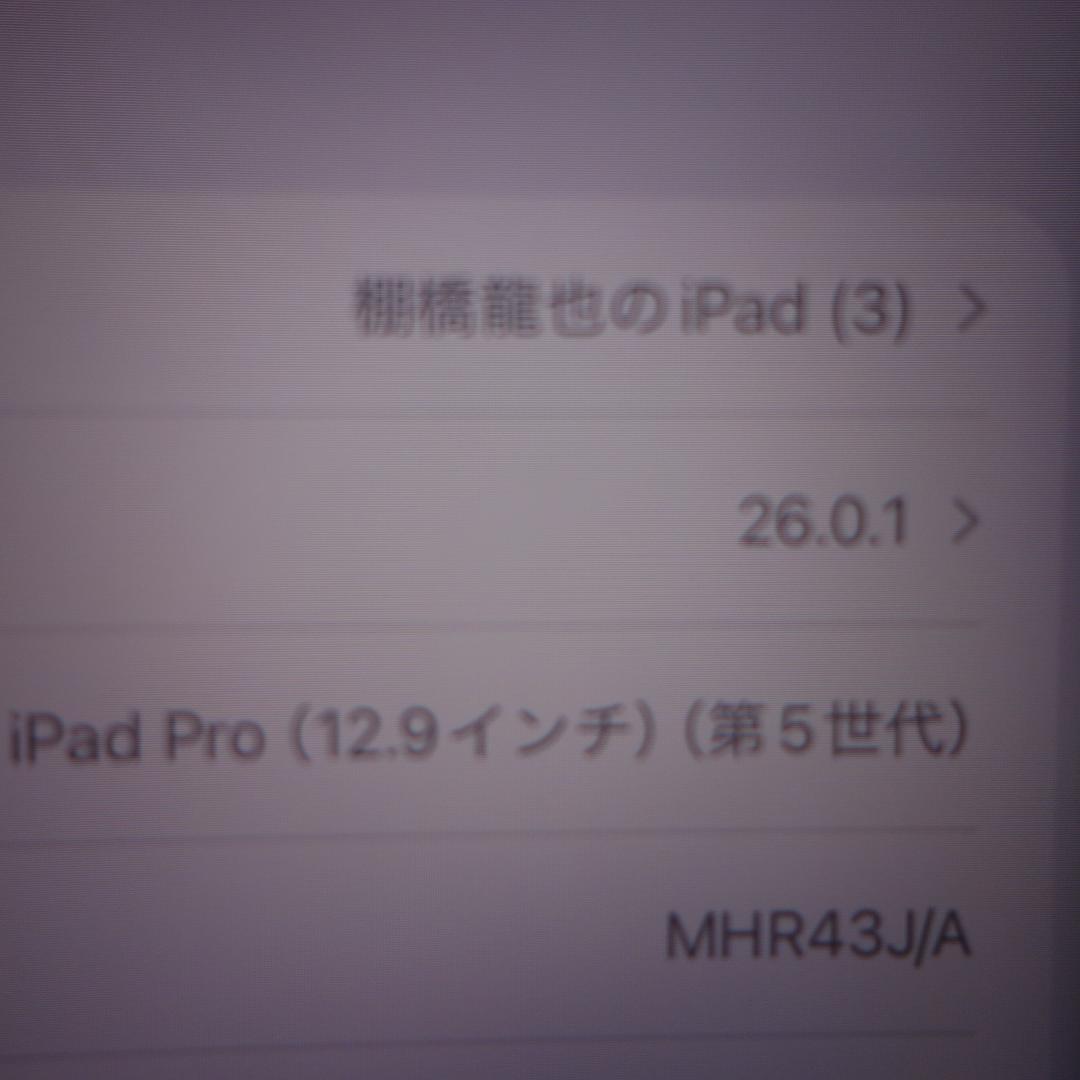 291）ジャンク品iPad PRO 12.9インチ（第5世代） 128GB au