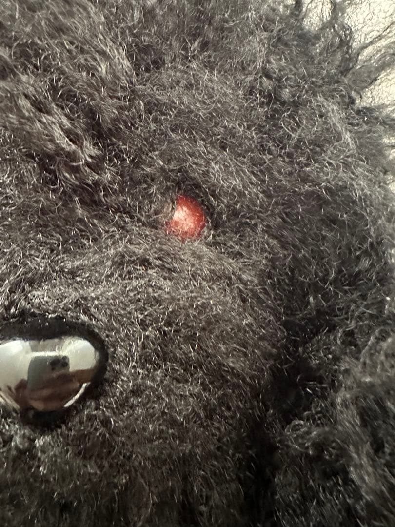 VAQUERA テディベア キーチャーム