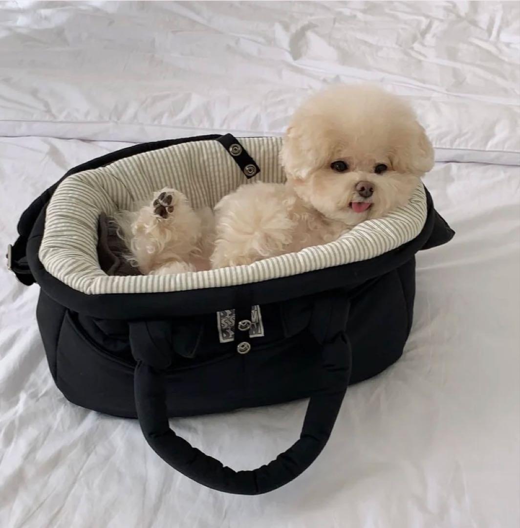 SSFW 韓国　メロウバッグ