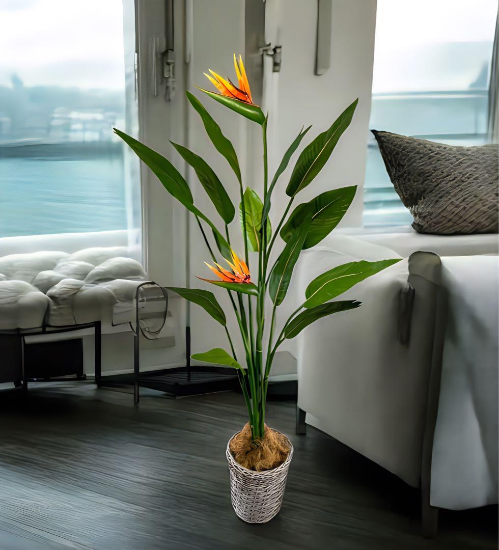 光触媒　人工観葉植物　オーガスタ　ストレッチア極楽鳥2輪付きabcg