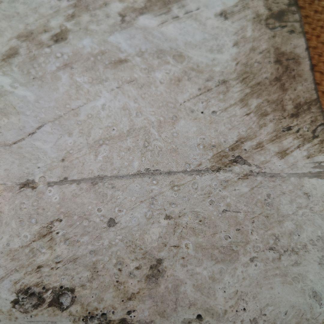 ワンダーデコール　イヤープレート　2023