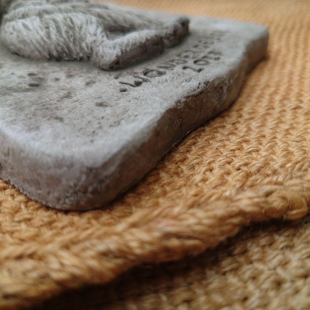 ワンダーデコール　イヤープレート　2023