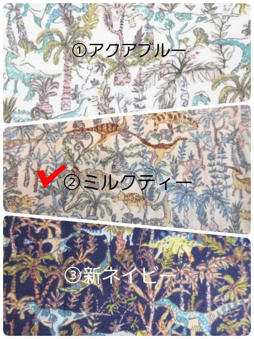 ★みか様★入園入学リバティ恐竜グッズ　速乾ライン仕様５点　男の子