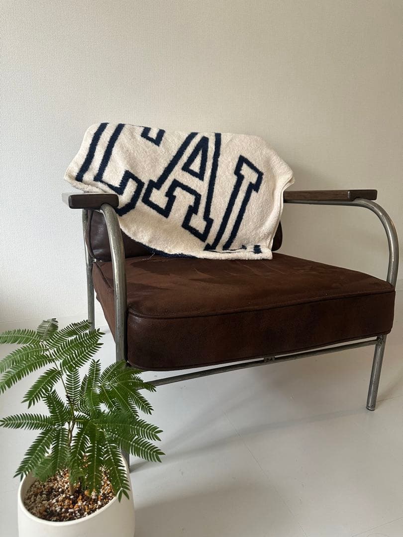 ジャーナルスタンダードファニチャー購入　ブランケット