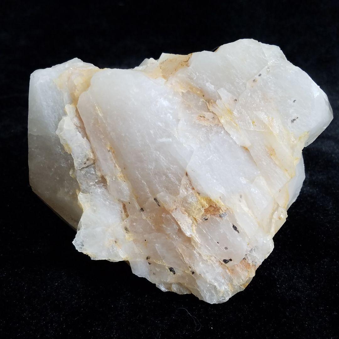 インド　マニカラン産　No1089