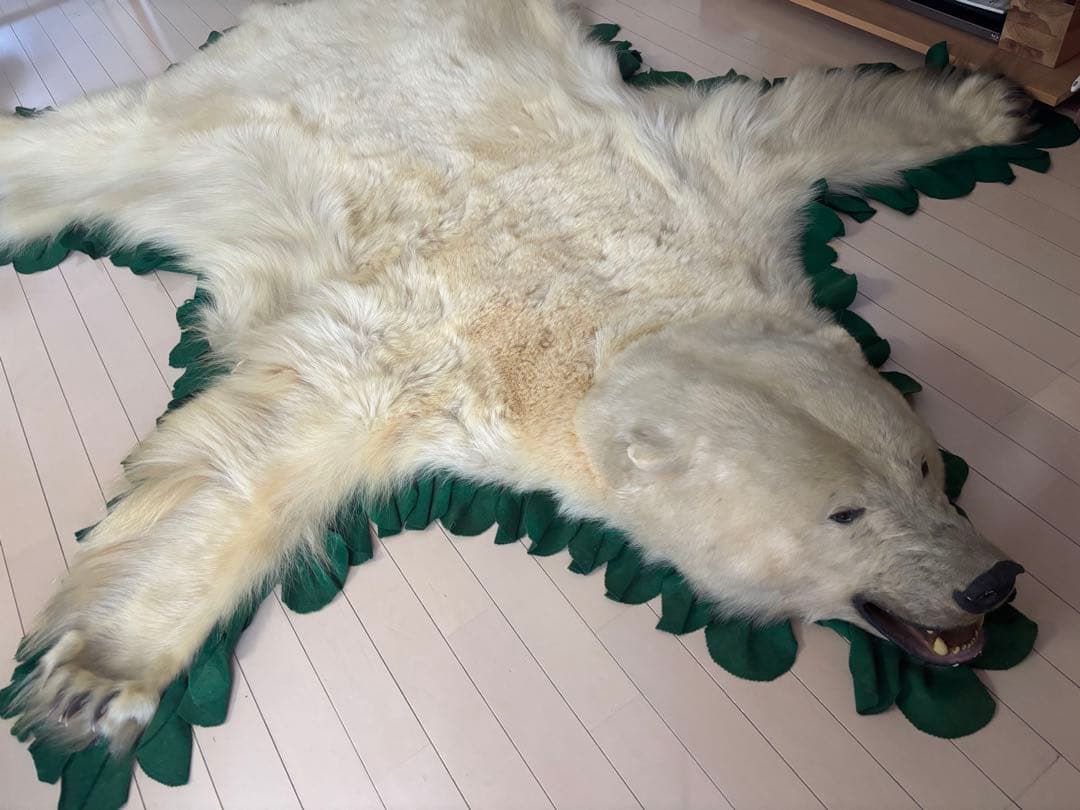 ホッキョクグマの剥製ラグ