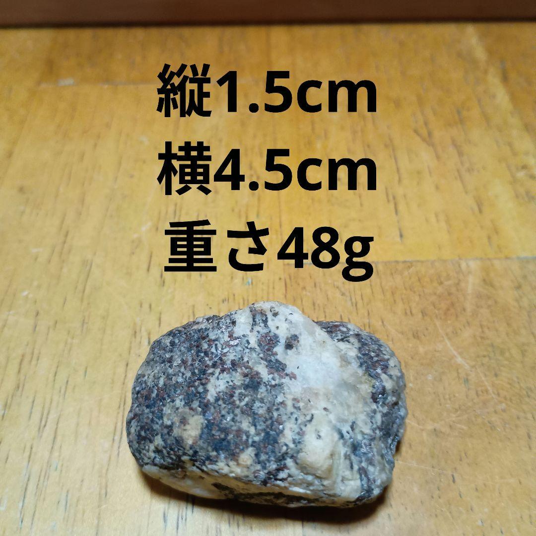 南極の石 教育用見本(廃校になった小学校から頂いたものです)非売品です