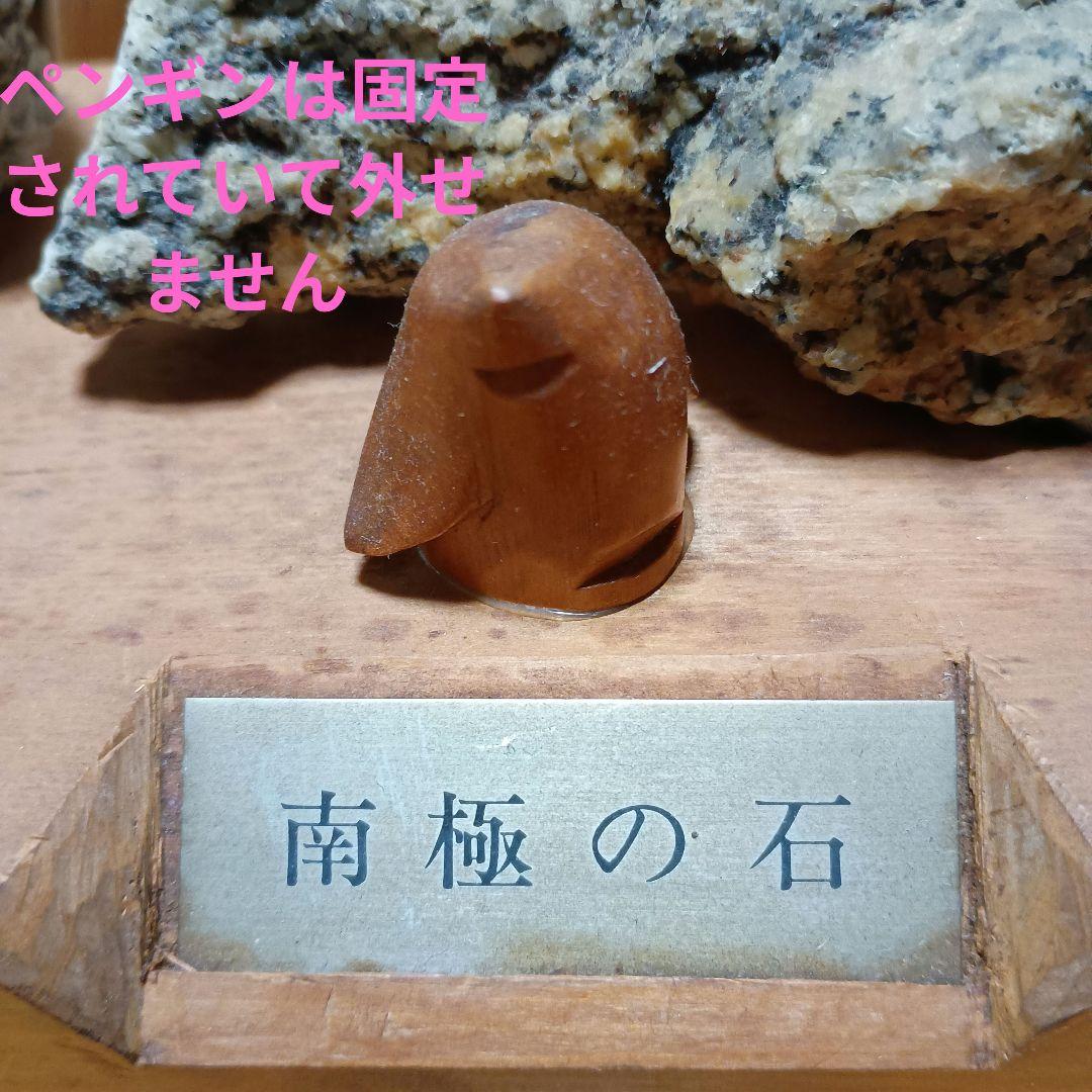 南極の石 教育用見本(廃校になった小学校から頂いたものです)非売品です