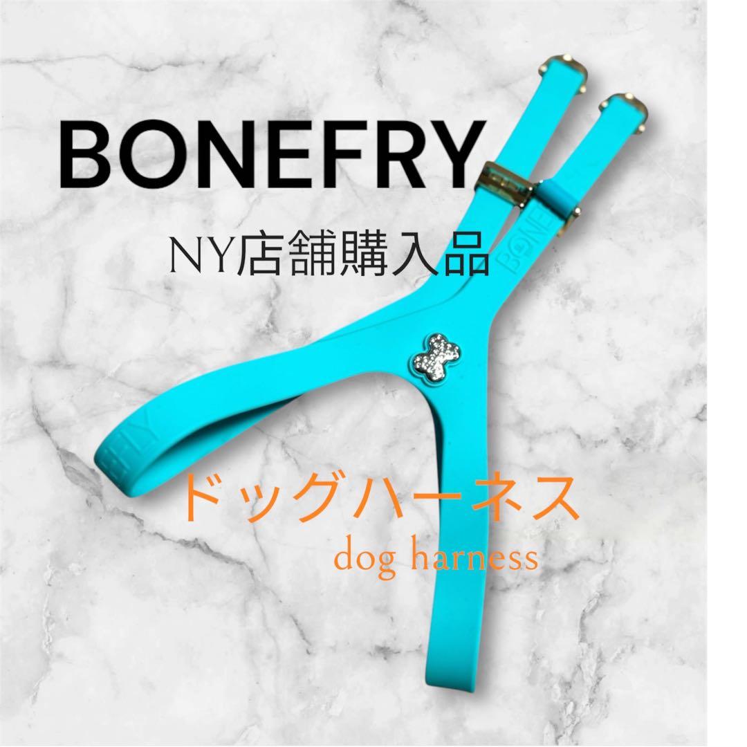 NY店舗購入　BONEFLY ドックハーネス　Mサイズ　入手困難