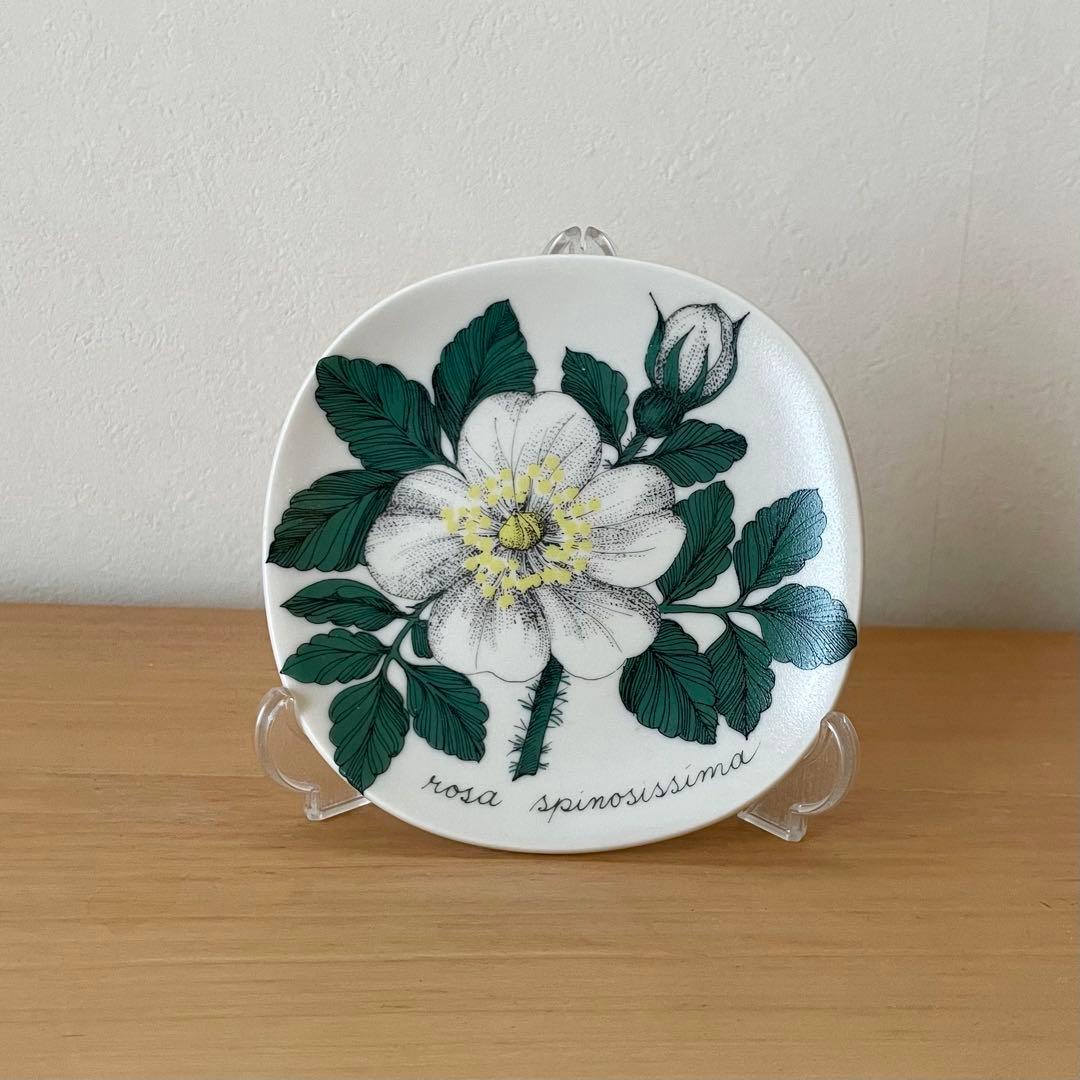 ARABIA アラビア　Botanica（ボタニカ）シリーズ　プレート①