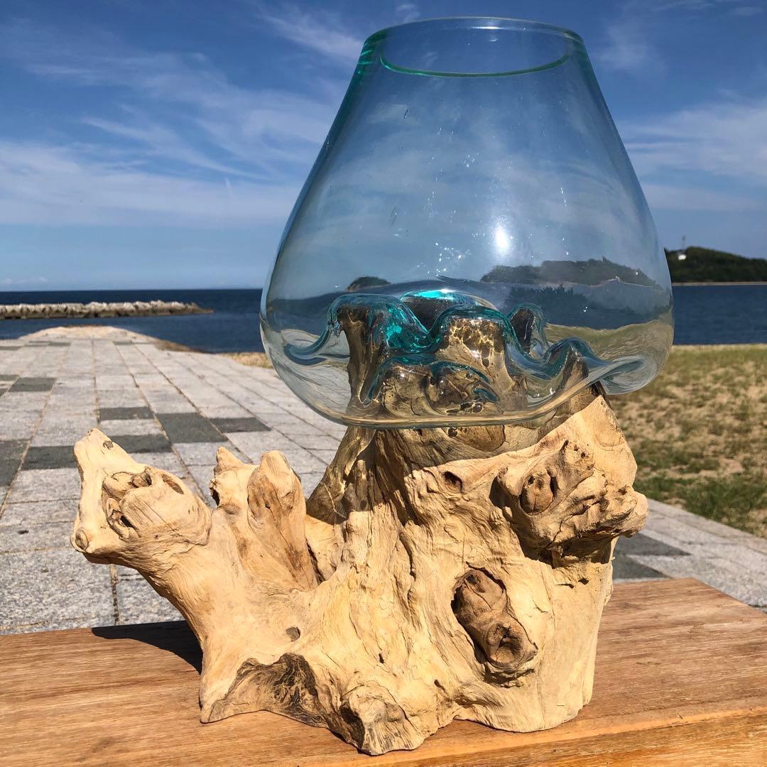 流木ガラス オブジェ特大V 花瓶 金魚鉢 ガーデニング テラリウム 観賞魚 容器