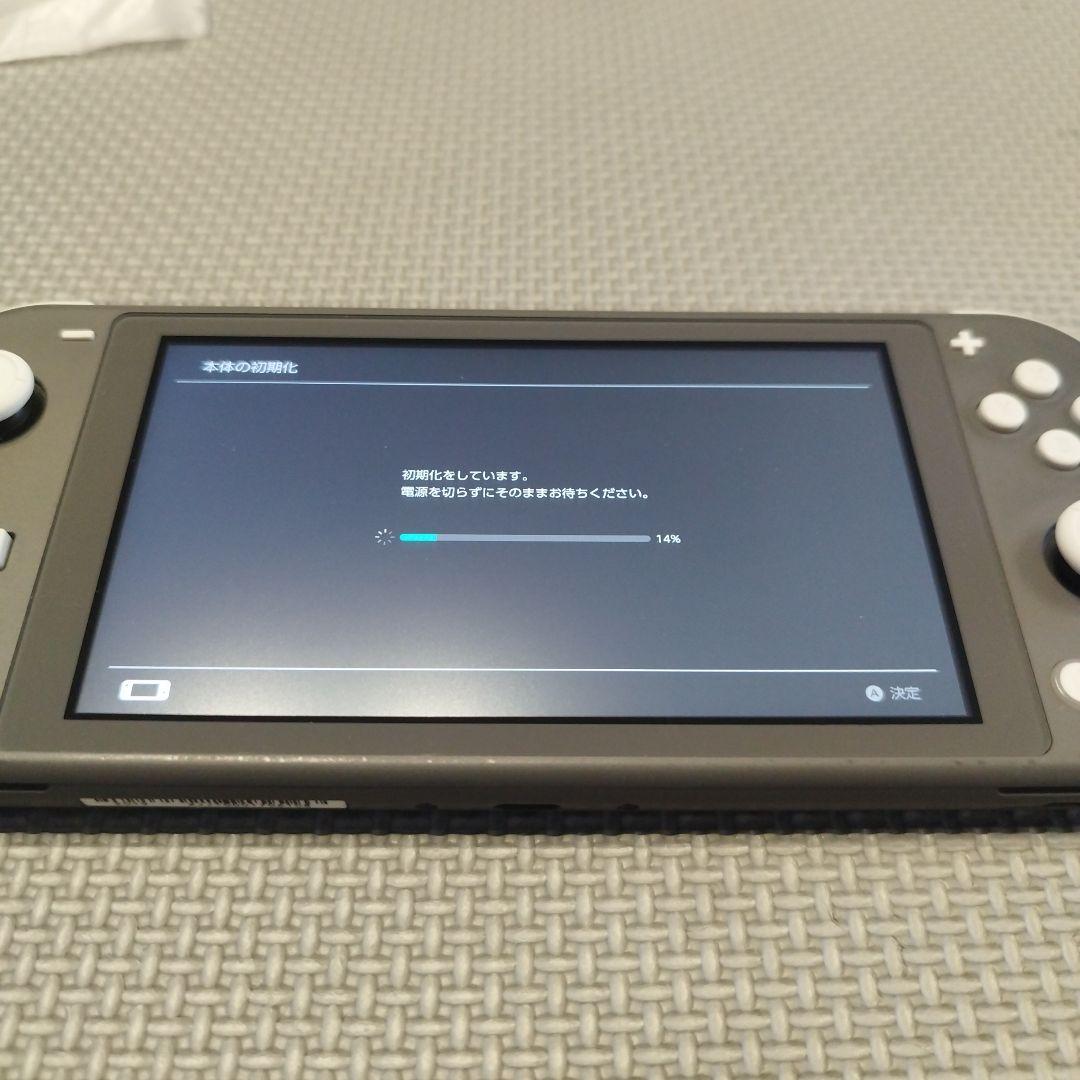 Nintendo Switch Lite　ACアダプターなし 動作確認済