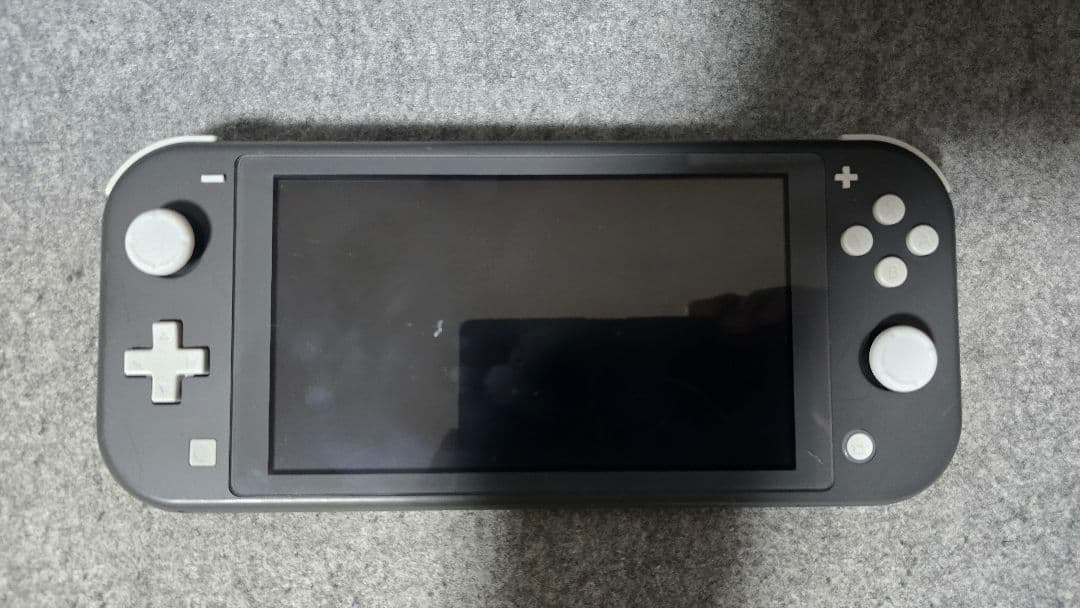Nintendo Switch Lite 本体 (ジャンク)