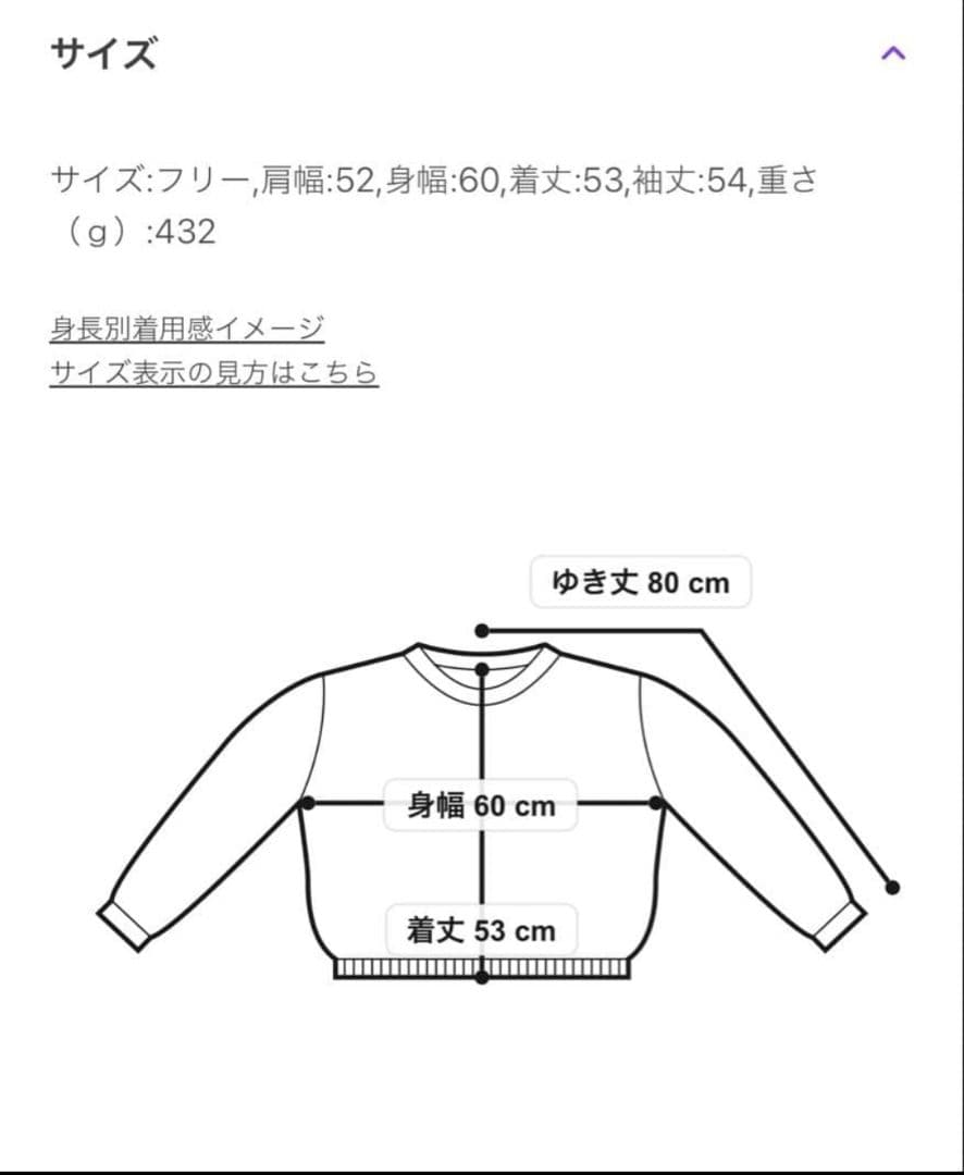 【美品】SLOBE IENA Bonjour paris ロゴニット グレー