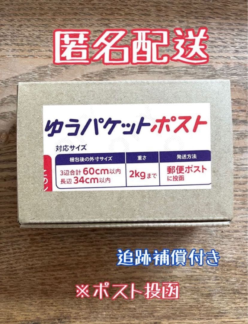 G*n様 希少【週末オークション】②匿名配送　アガべ　豆豆龍錦　覆輪斑　TC
