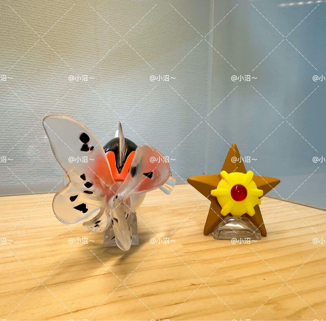 ワラカプ　ポケモンスケールワールド