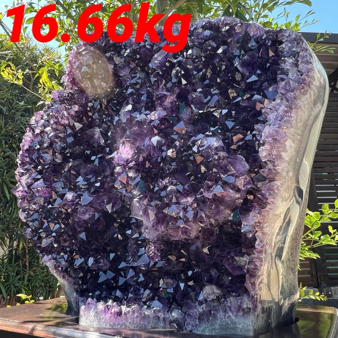 ☆極上超強開運☆絢爛華麗 超極大 美濃紫結晶☆ウルグアイ産 アメジストクラスター