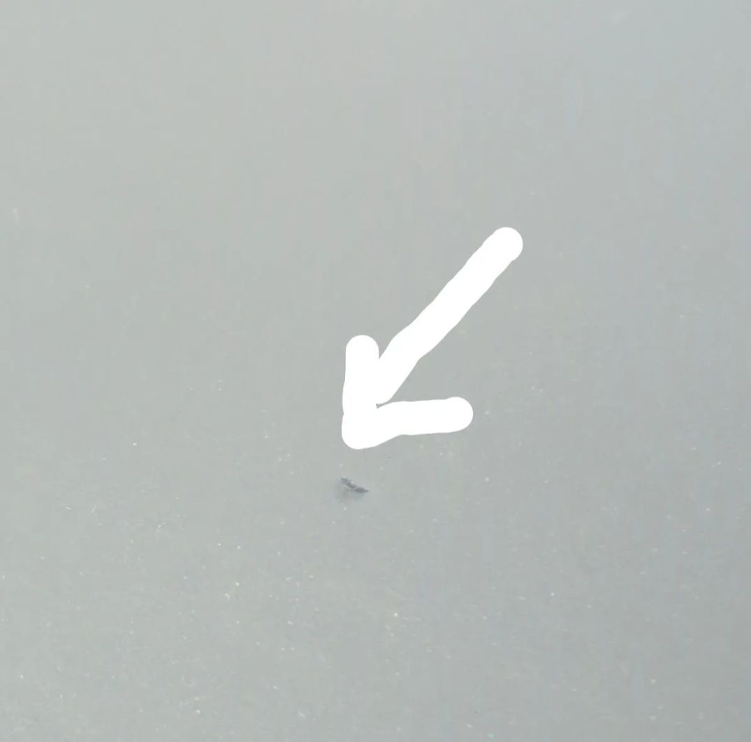 Artek Stool60リノリウムスモーキーブルー×ハニー　スコープ別注三本脚