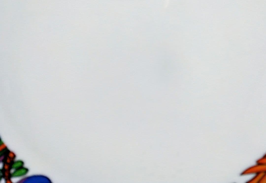 ビレロイ&ボッホ アカプルコ プレート 5枚セット VILLEROY&BOCH