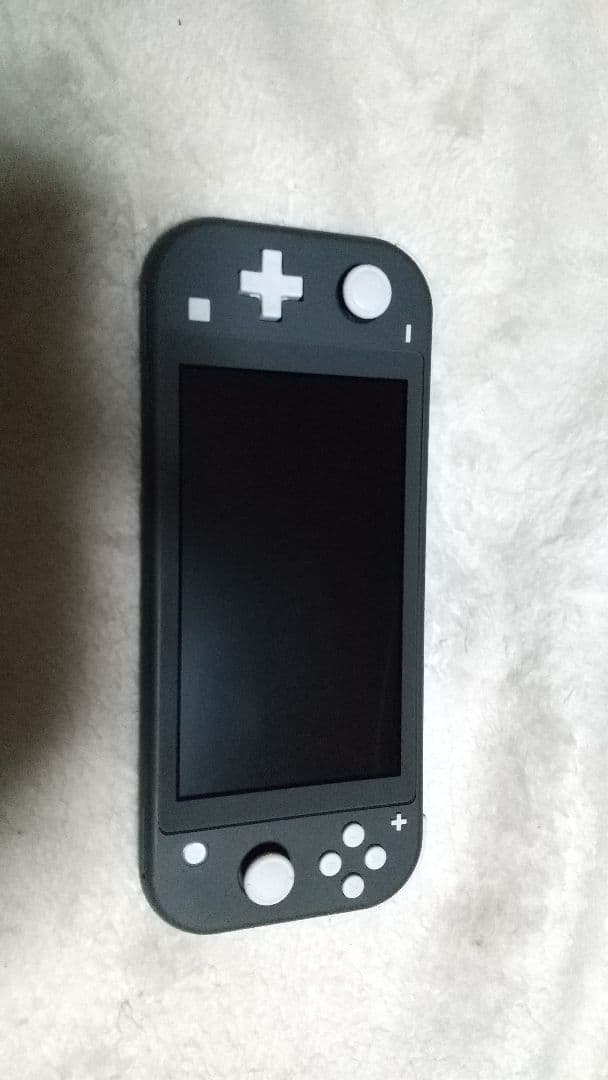 Nintendo Switch Lite グレー 本体 動作品 良品