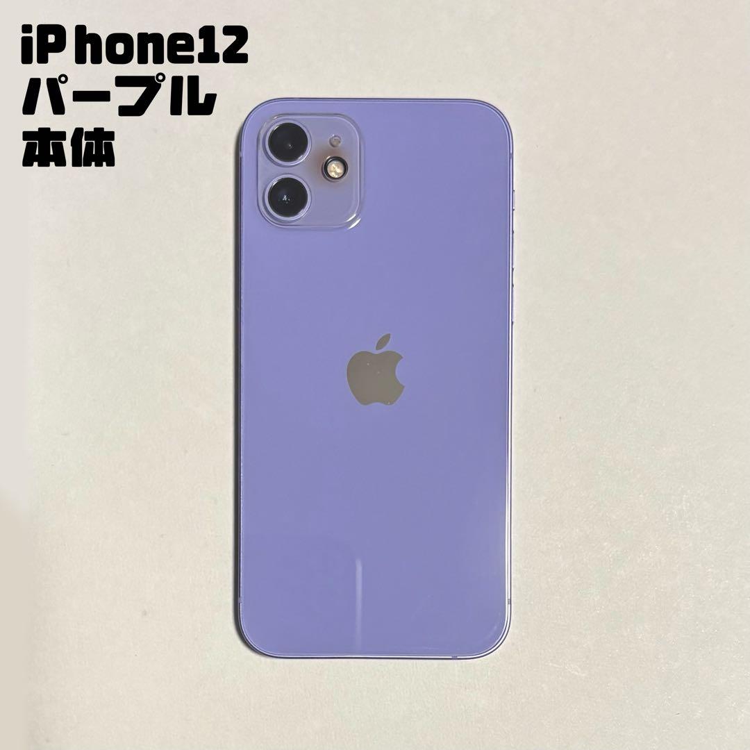 Apple iPhone12 パープル 本体