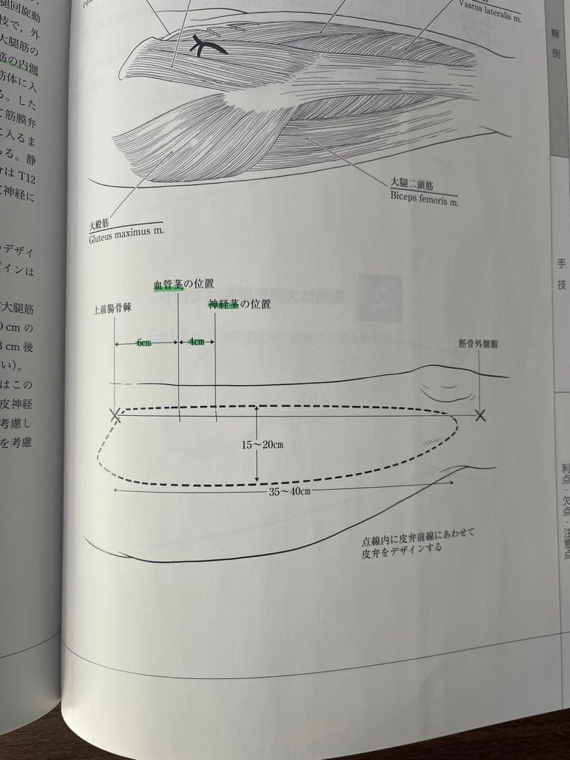 マイクロサージャリー関連書籍3冊セット