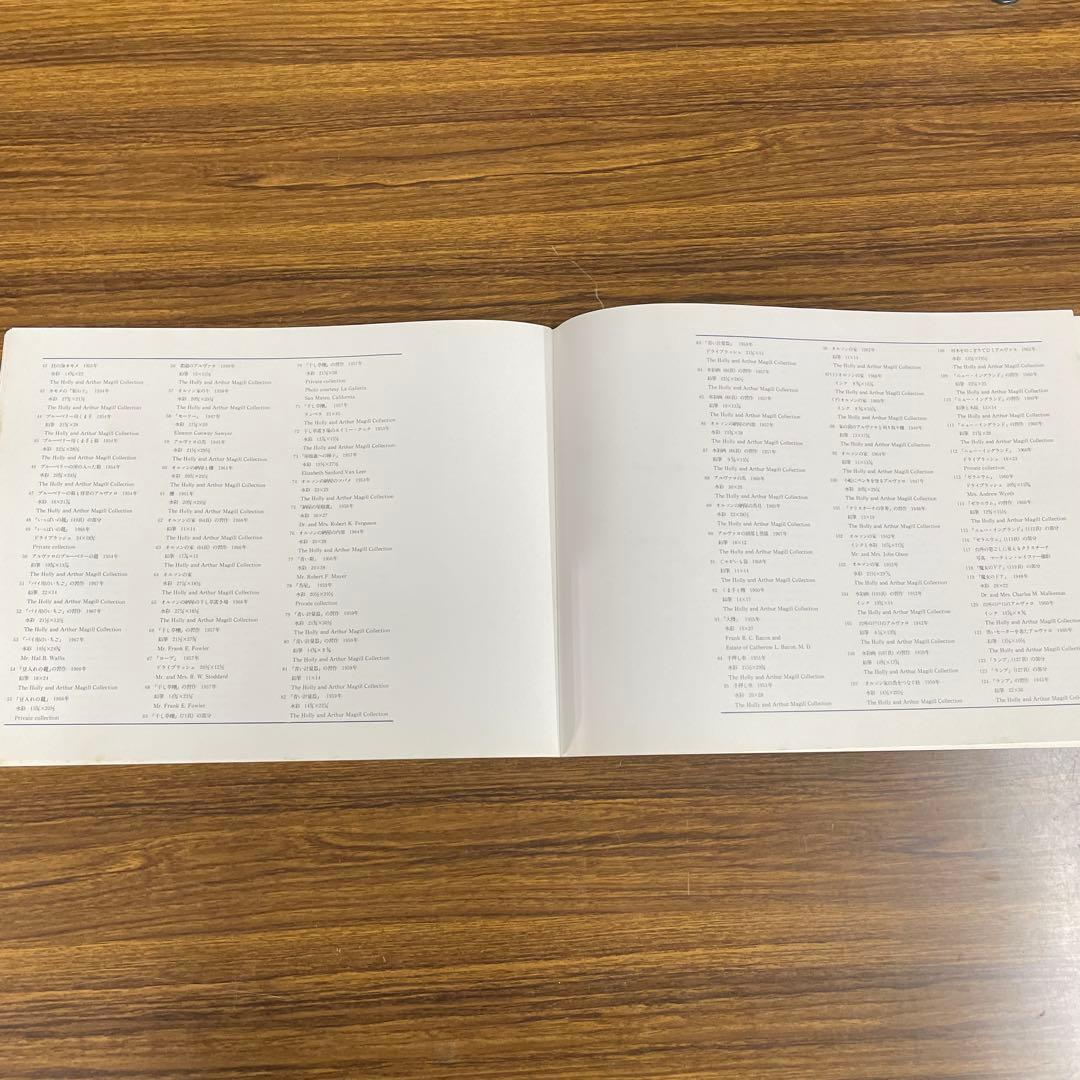 ワイエス 画集Ⅱ 『クリスチーナの世界』