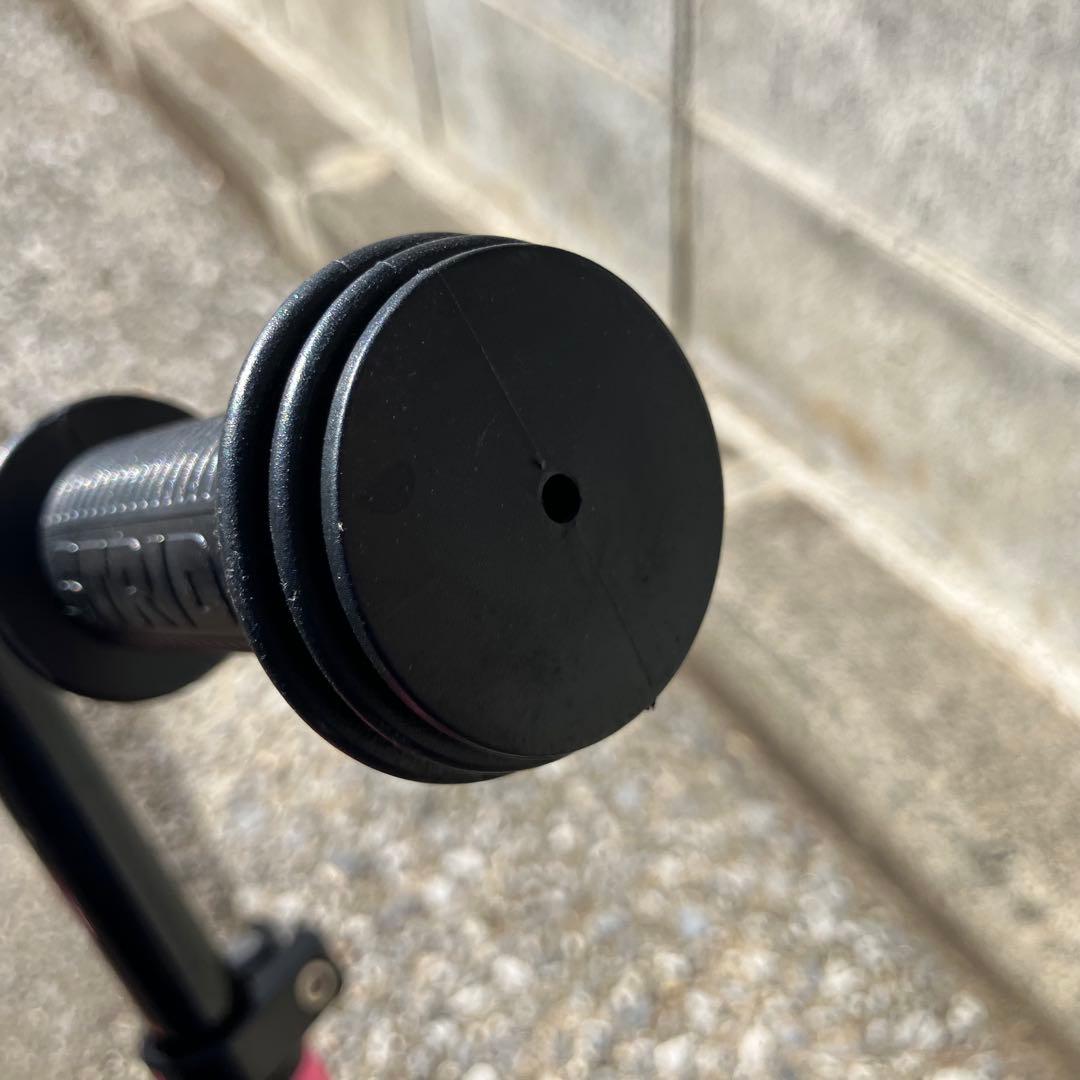 ストライダー クラシック 12インチ 日本正規品