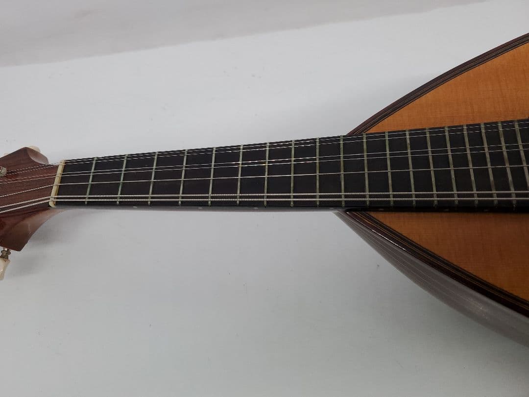 管25 1979年 落合忠男 マンドリン オールド　ビンテージ　ケース有