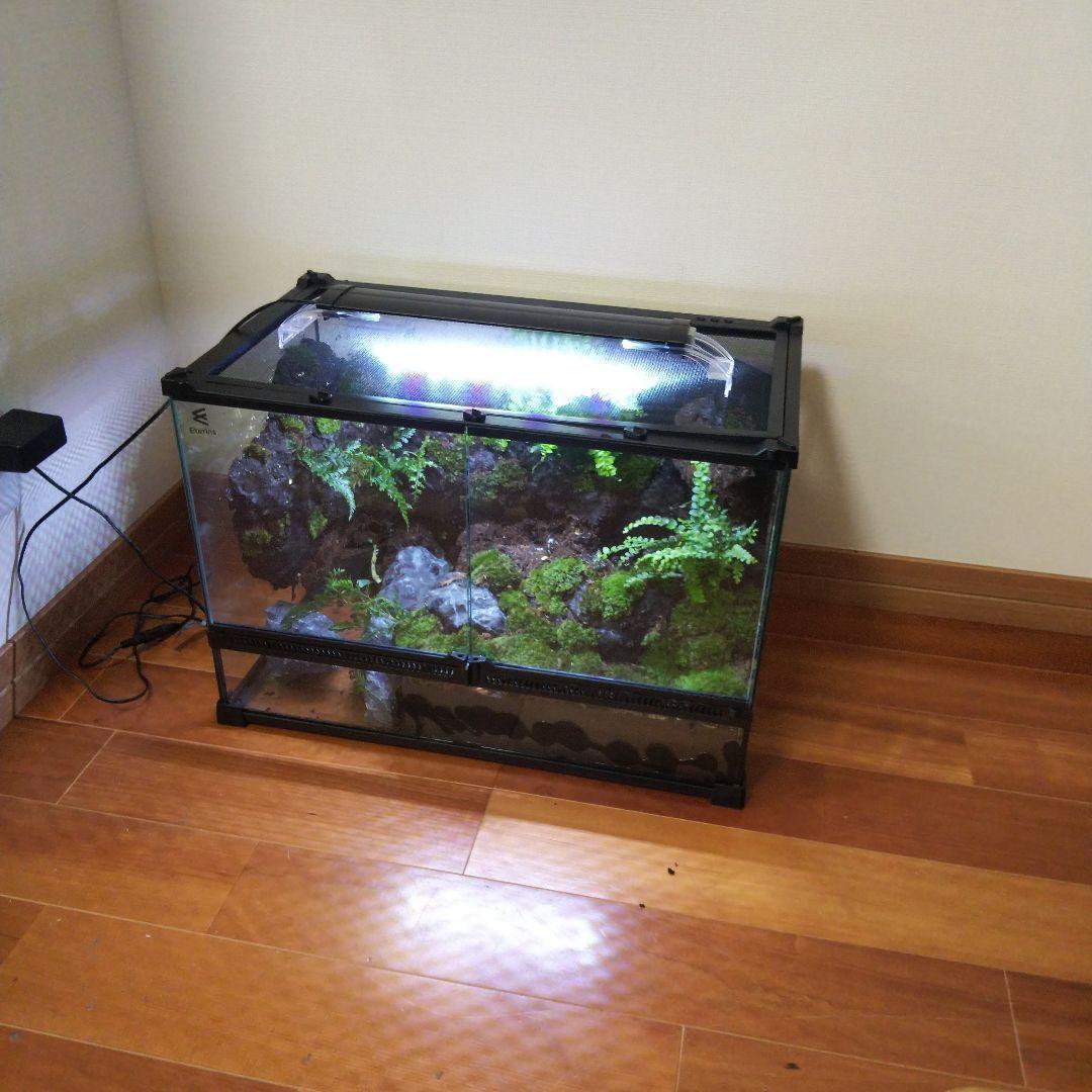 【受注生産】滝のあるアクアテラリウム　イモリウム　苔テラリウム　アクアテラリウム