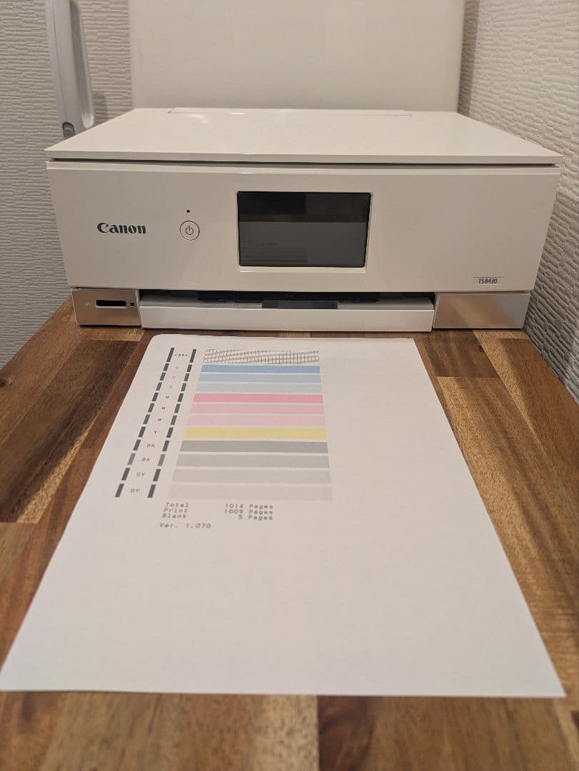 Canon PIXUS TS8430 印刷枚数 1020枚 N8034