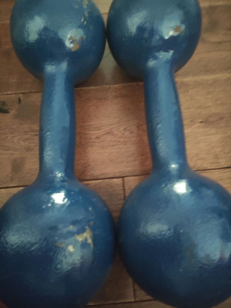 DANNO ダンノ　淡野製作所　１６kg　鉄アレイ　1本　①
