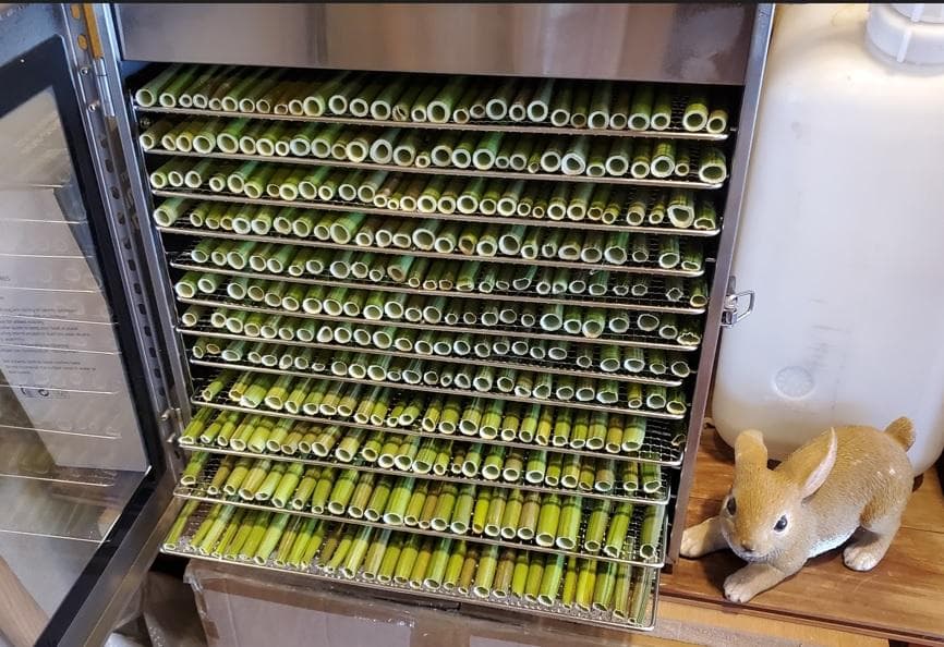 大容量　2100g　(国産・高品質)乾燥パパイヤの茎（無農薬・有機肥料）