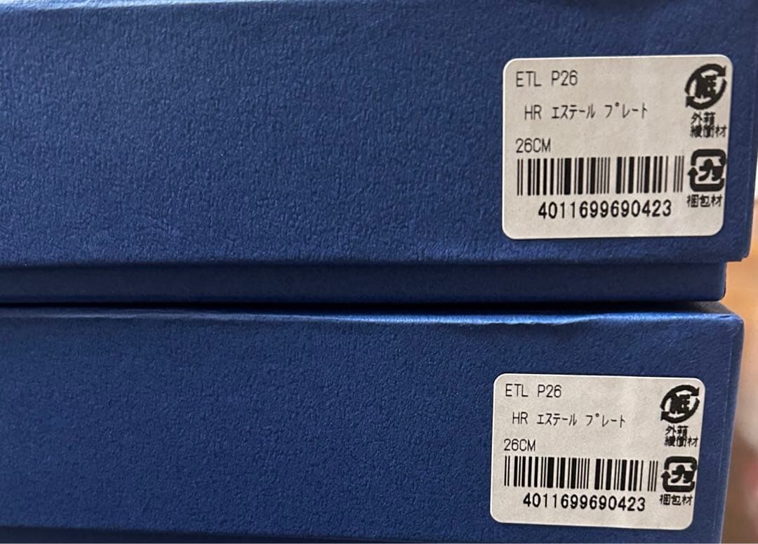 HUTSCHENREUTHER フッチェンロイター エステール 皿26CM 2枚