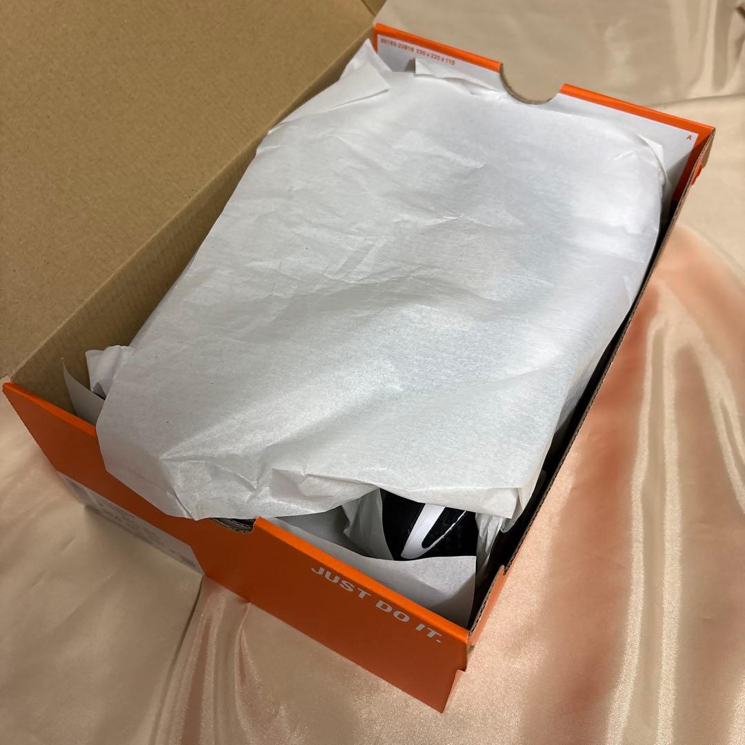 新品未使用品 Nike Pegasus ナイキ ペガサス イージーオン 27cm