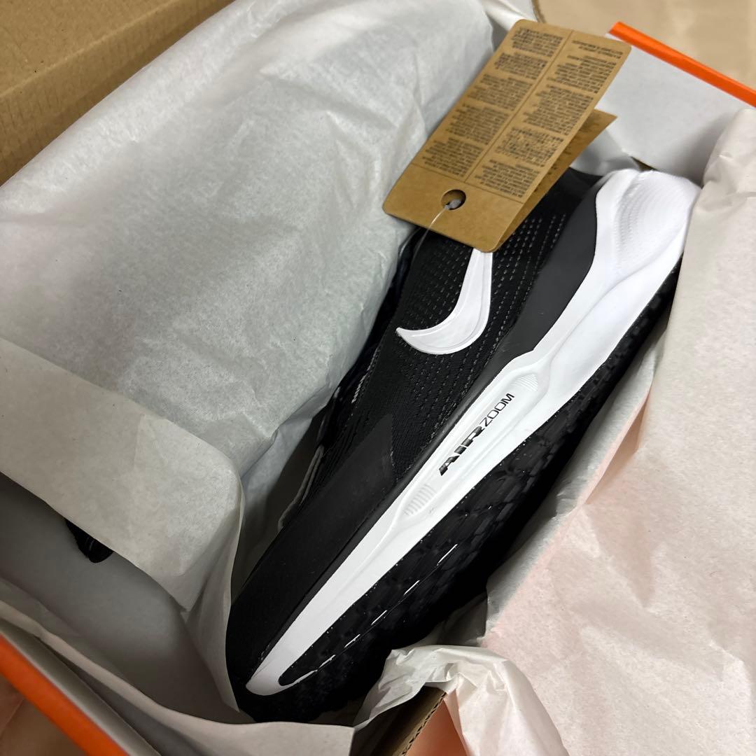 新品未使用品 Nike Pegasus ナイキ ペガサス イージーオン 27cm