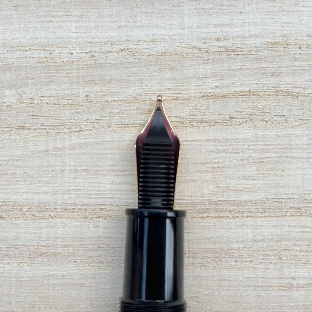 モンブラン フリードリッヒ・シラー 作家シリーズ2000年 万年筆 字幅 M