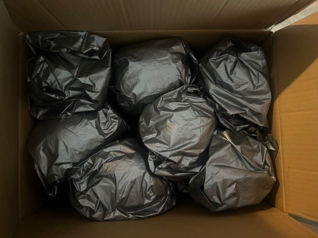 美容国家試験 練習 カットウィッグ