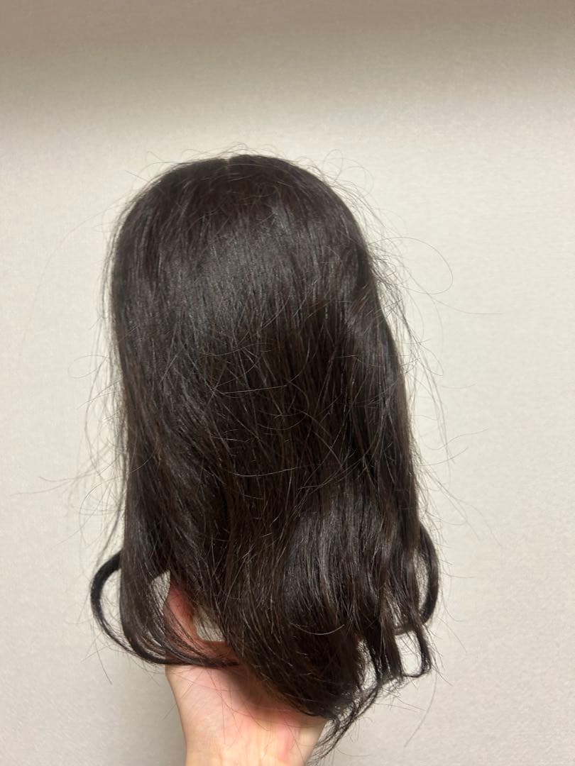 美容国家試験 練習 カットウィッグ