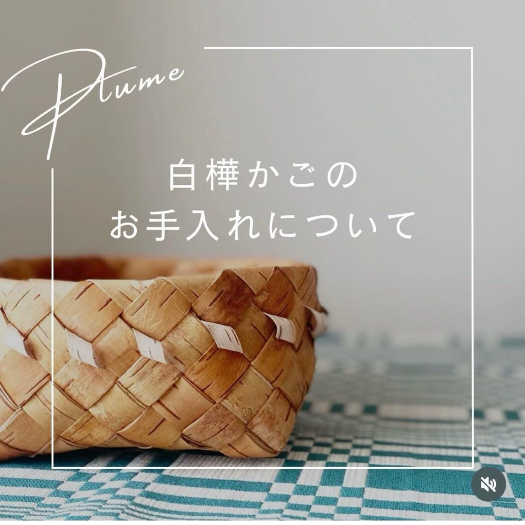 白樺　カゴ　北欧