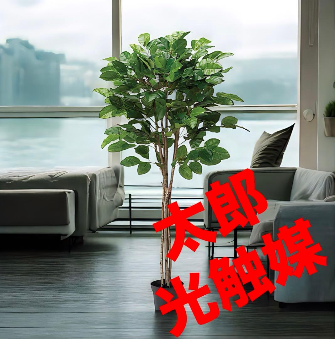 光触媒　人工観葉植物　ウォールグリーン　フェイクグリーン　ジャイアントツリー